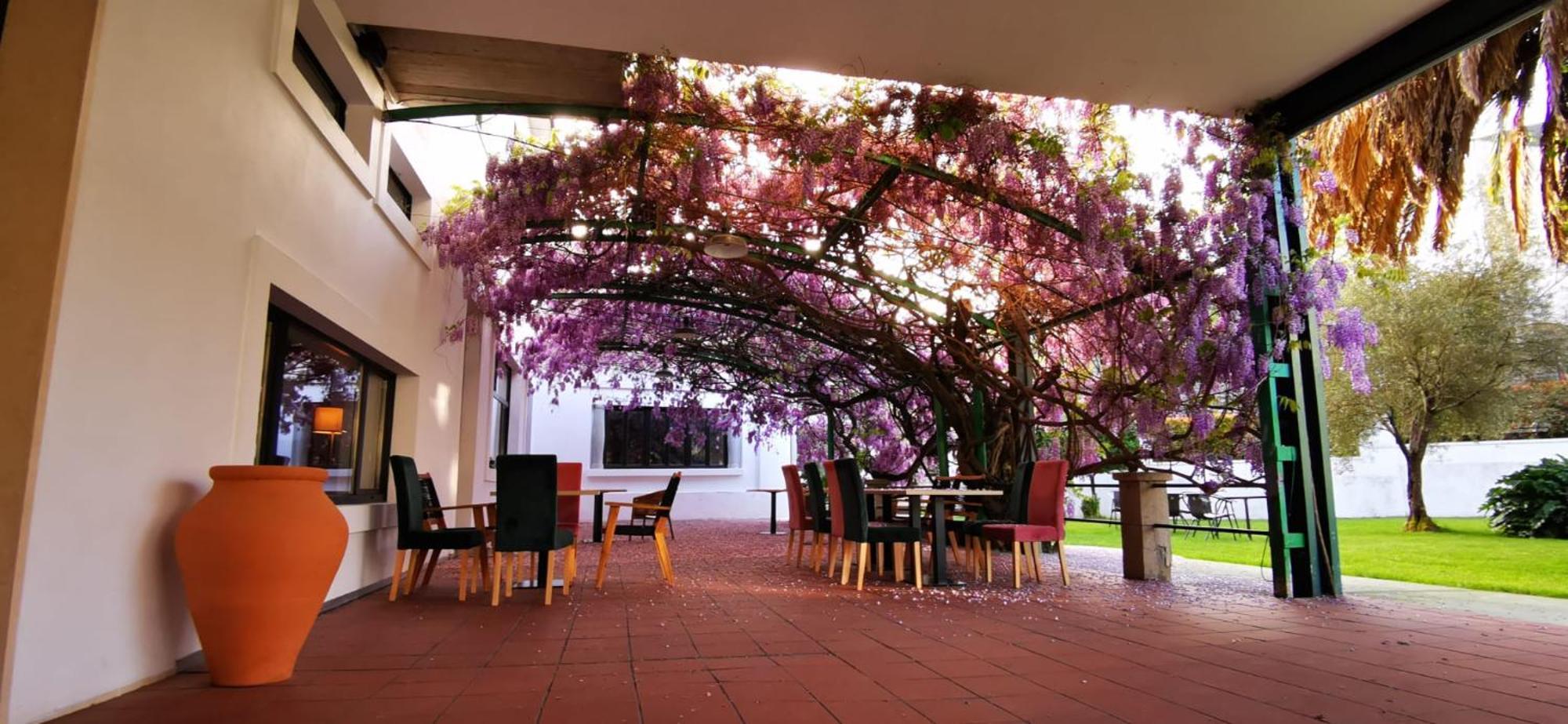 A Pousada Vina Femita Villafranca Del Bierzo Exterior foto